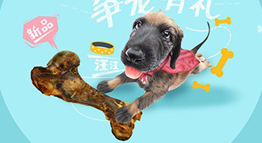 【寵物類目】如何提升淘寶運營能力