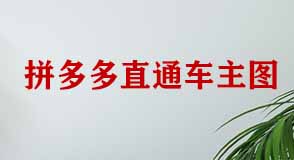 拼多多直通車(chē)