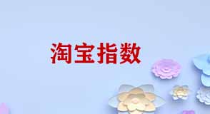 淘寶指數(shù)