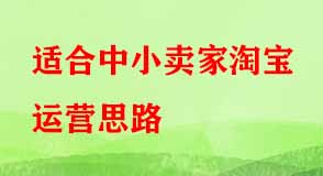 適合中小賣家淘寶運(yùn)營(yíng)思路